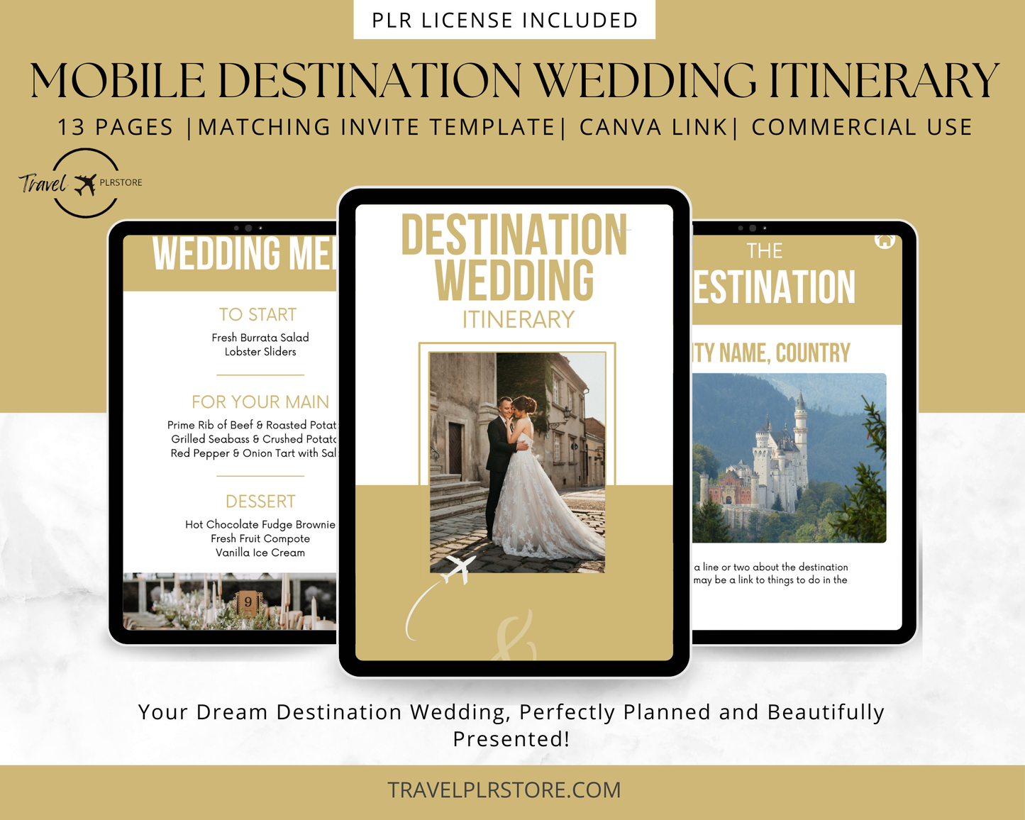 Mobile Destination Wedding Itinerary + 1 Boarding Pass Invitation Template